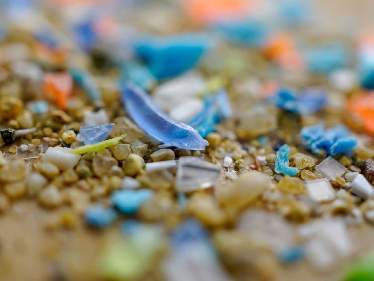 microplastics mixed among s和 sediment